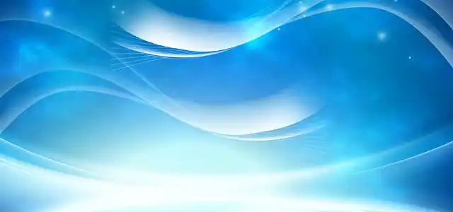 全电子汽车衡称量单怎么看