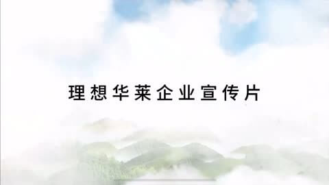 电子吊钩秤传感器